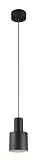 Trio Leuchten Pendelleuchte Agudo 319400132, Metall Schwarz matt, exkl. 1x E27