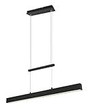Reality Leuchten LED Pendelleuchte Paros R32043132, Metall Schwarz matt, inklusiv 1x 21 Watt LED und...