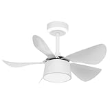 Willonin Deckenventilator leise mit Licht, Deckenventilator mit Licht, LED 25 W und Fernbedienung, 6...