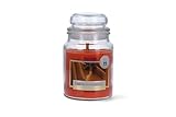 Magic Lights - Kerze im Glas 510 g Orange Zimt mit pflanzlichem Wachs min. 75% - Docht aus...