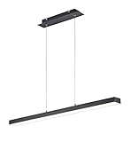 Reality Leuchten Agano R32801132 LED Pendelleuchte, Metall, 18 Watt, Schwarz Matt, 4x fach Touch