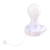 Leuchte mit Kette und Zugschnur | Leuchtmittel mit Akku – Wandbeleuchtung für Restaurant, Keller,...