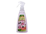 Orchideen-Vital Blattpflege 250ml mit Glanz-Formel für vitale Pflanzen und glänzende Blätter in...