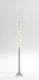 Northpoint LED Lichtbaum Baum Weihnachtsdeko Indoor & Outdoor | Birkenoptik | 150cm | 240 warmweiße...