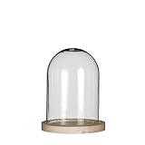 Glockenglas Glaskuppel Glashaube Glas Glocke Glass Dome mit Boden, Ø 12 cm, Höhe: 16 cm mit...