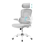 Farini Ergonomischer Stuhl Büro Computer Stuhl mit Rollen Schreibtisch für Bequemer Home Office...