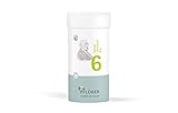 PFLÜGER Schüßler Salze Nr. 6 Kalium sulfuricum D6 - 400 Tabletten - Das Salz der Entschlackung -...