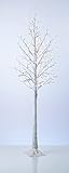 Northpoint LED Lichtbaum Baum Weihnachtsdeko Indoor & Outdoor | Birkenoptik | 180cm | 200 warmweiße...