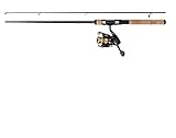 DAIWA Barschcombo 1,80m 3-15g + Rolle 2000 Spinnrute Angelset