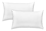 sleepling 2er Set Faserkissen, Doppelpack, Inlet Sofakissen, Zierkissen und Dekokissen, 30 x 50 cm,...