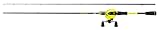 Mitchell Colors MX Casting Rute and Rolle Combo - Raubfisch Baitcasting Setup - Hecht, Zander,...