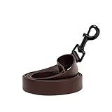 Wasserdichte Hundeleine, verstellbar, Schnellverschluss-Schnalle, Halsband für kleine, mittelgroße...