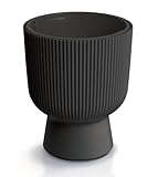 Blumentopf Blumenkübel Pflanzentopf Pflanzkübel DBMIG mit Einsatz Zylinderdesign Höhe 49,5 cm...