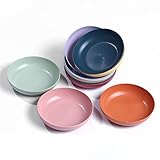 WANBY Kunststoffplatten 10 Stück Leichte 5,6' Plastikplatten Unzerbrechlich Abendessen Teller...
