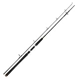 Daiwa BG Pilk 2,40m 40-125g Bootsrute Meeresrute