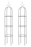 TPFGarden 2er Set Rosensäule Roman schwarz