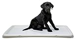 Kerbl Pet Welpentoilette XL, 90x60x4cm, creme, für Welpen, ältere oder Kranke Hunde, Unterlage...