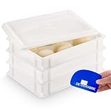 DIE BOX FABRIK 3x Pizzaballenbox Gusto + 1 Deckel, 40x30x7 cm | Gärbox, Teigwanne für Pizzateig....