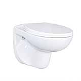 Aqua Blue Spülrandlos Wand WC Hänge WC Tiefspüler Rimless Toilette Rim Off