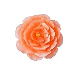 Tanzrequisiten, Pfingstrose, Blumenschirm, große Bühnenaufführung, Requisiten, Blumenschirm,...
