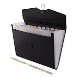 D.RECT 5580 Fächermappe Ordnungsmappe erweiterbar Dokumentenmappen 12 Fächer A4 Schwarz