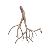 AquaOne XL Talawawurzel Nr.3605 Aquarium Wurzel Holz Deko Aquascaping Dekoration Landschaft Mangrove...