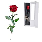 elthmpr Infinity Rose rosa am Stiel - Echte konservierte Rose in Geschenkbox für Frauen in Ihrem...