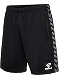 Hummel Authentic Pl Shorts L