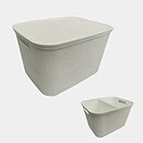 Ecoplast | Mehrzweck-Aufbewahrungsbox, hellgrau, groß, mit Deckel und Trennwand, platzsparend, für...