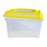 Insekten-Beobachtungsbox | Große, transparente Naturbeobachtungsbox mit Lüftung und Tragegriff |...