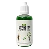 Wurzel Booster Für Pflanzen | Bewurzelungshilfe Für Blumen,50ml Natürlicher Flüssigdünger Für...