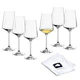 LEONARDO HOME Rieslinggläser PUCCINI (6er Set) inkl. Poliertuch • Spülmaschinenfeste...