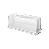 Rotho Fresh Kuchenbehälter mit Haube und Tragegriff, Kunststoff (PP) BPA-frei, weiss, (36.0 x 16.5...