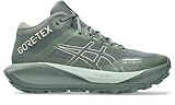ASICS Damen Gel-Trabuco MT GTX Traillaufschuhe, Monument Blue/Vanilla, 44 EU
