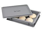 TOMASETTI Pizzaballenbox mit Deckel - Pizza Box Maße: 30x40 x8cm - Teigwanne für Pizzateig und...