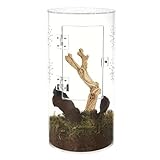 Spinnenlautsprecher – Acryl-Terrariumkäfig, Baumtank mit Frontöffnung | kompakter wasserdichter...