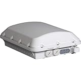 Ruckus T610 Wireless Access Point für den Außenbereich, kein Abonnement (901-T610-US01)