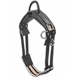 AMKA Longiergurt Reitgurt Soft Riding Gurt, Haltegriff auch für Holzpferde geeignet