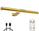 Arixinks 40cm Drahtlose Bilderleuchte LED, Bilderlampe mit Fernbedienung, Wiederaufladbare Dart...