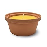 pajoma® Citronella Duftkerze 6 Stück in Terrakotta-Schale, 120 g - Ø 10,2 cm - Brenndauer...