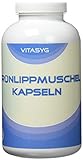 Vitasyg Grünlippmuschel Kapseln - 300 Kapseln - 600mg pro Kapsel hoch dosiert - ohne...