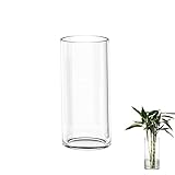 TSKDKIT Glas Blumenvase Modern Zylinder Vase, Handgemacht Kristall Vasen 20cm Hoch, Kerzenhalter...