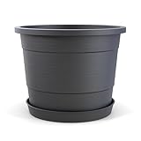Plastard Blumentopf Terra Ø 54 cm Anthrazit mit Untersetzer, wetterfester Pflanzkübel, Pflanztopf,...