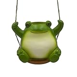 TNNOKL Swing Frosch Pflanzgefäß Töpfe Hängend Pflanzgefäß für Indoor Outdoor Swinging Plant...