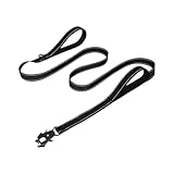 Strapazierfähige Hundeleine, Nylon, reflektierend, mit weich gepolsterten 2 Griffen und...