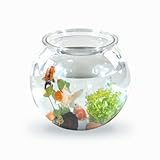 Mobiclinic® pets, Kugelaquarium, Nemo, 4 liter, Pet eco kunststoff, Transparentes design, 20x20x17,...