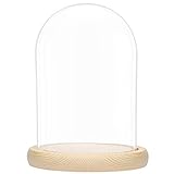 BELLE VOUS Glas Glocke Glaskuppel Groß mit Holzboden – 20cm Dekorative Glashaube als Tischdeko,...