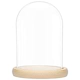 BELLE VOUS Glasglocke mit Holzboden - 20cm hohe Glaskuppel mit Holzboden - Glasglocke Groß Deko -...