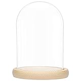 BELLE VOUS Glas Glocke Glaskuppel Groß mit Holzboden – 20cm Dekorative Glashaube als Tischdeko,...