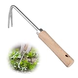 Manueller Unkrautstecher Mit Holzgriff, 25.5cm Länge Unkrautstecher Edelstahl, Robust Manueller...